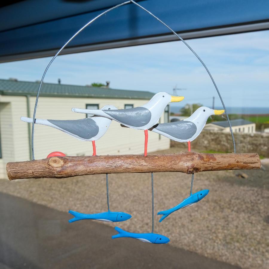 Apartamento Kittiwake Saint Cyrus Exterior foto